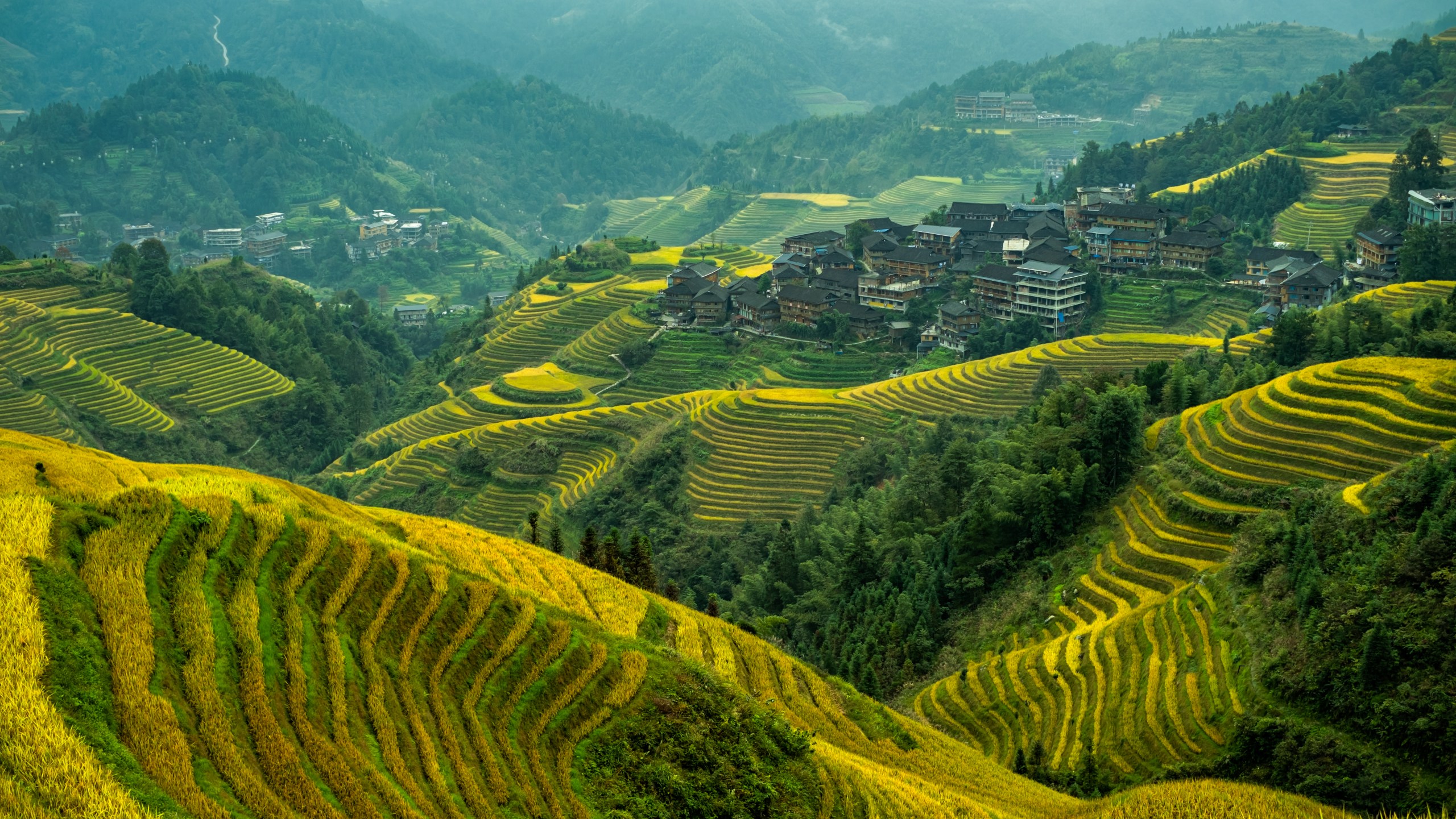 Guilin In-Depth Tour: Rice Terraces, Yao Culture & Tea