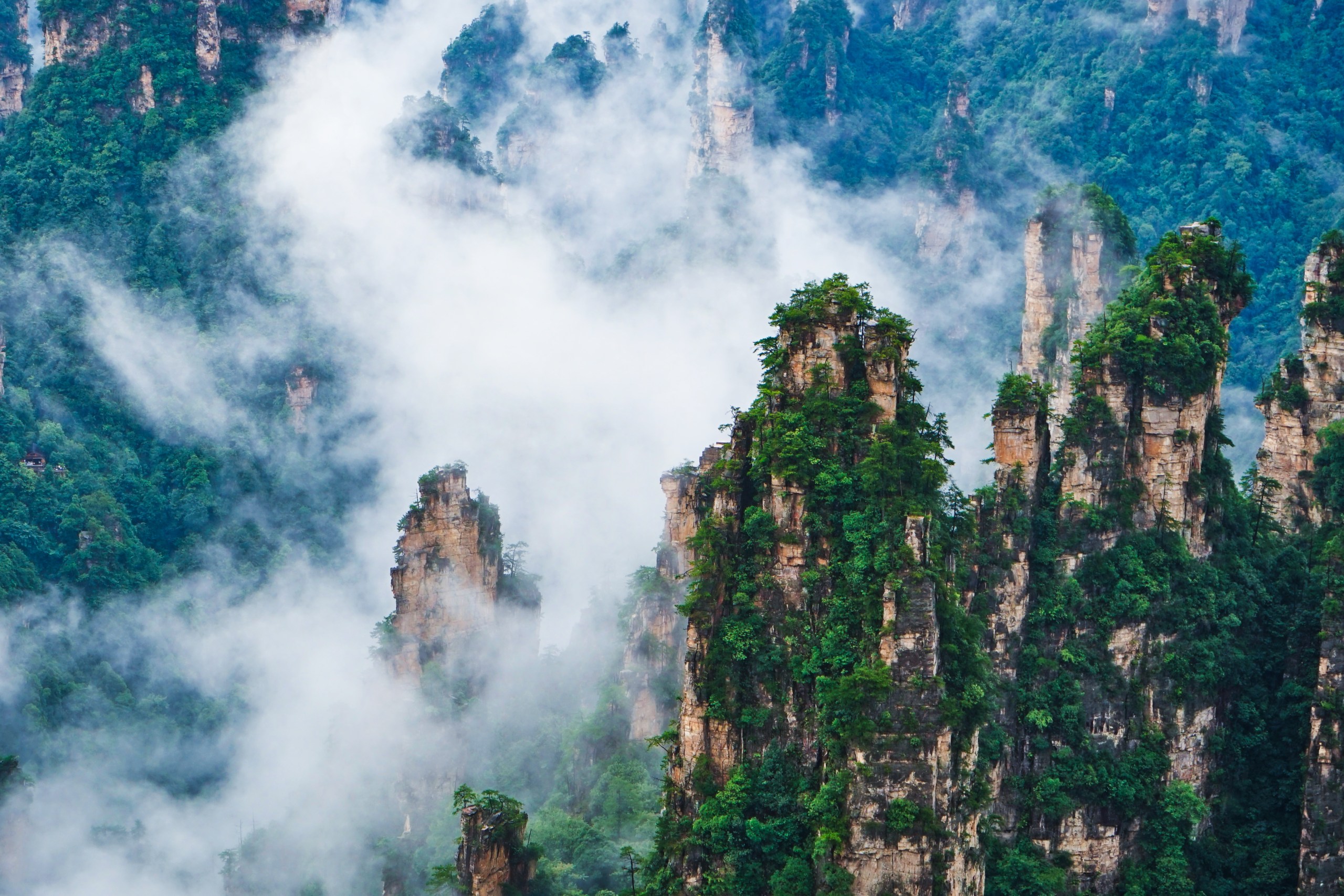 Zhangjiajie Avatar Mountain Day Tour