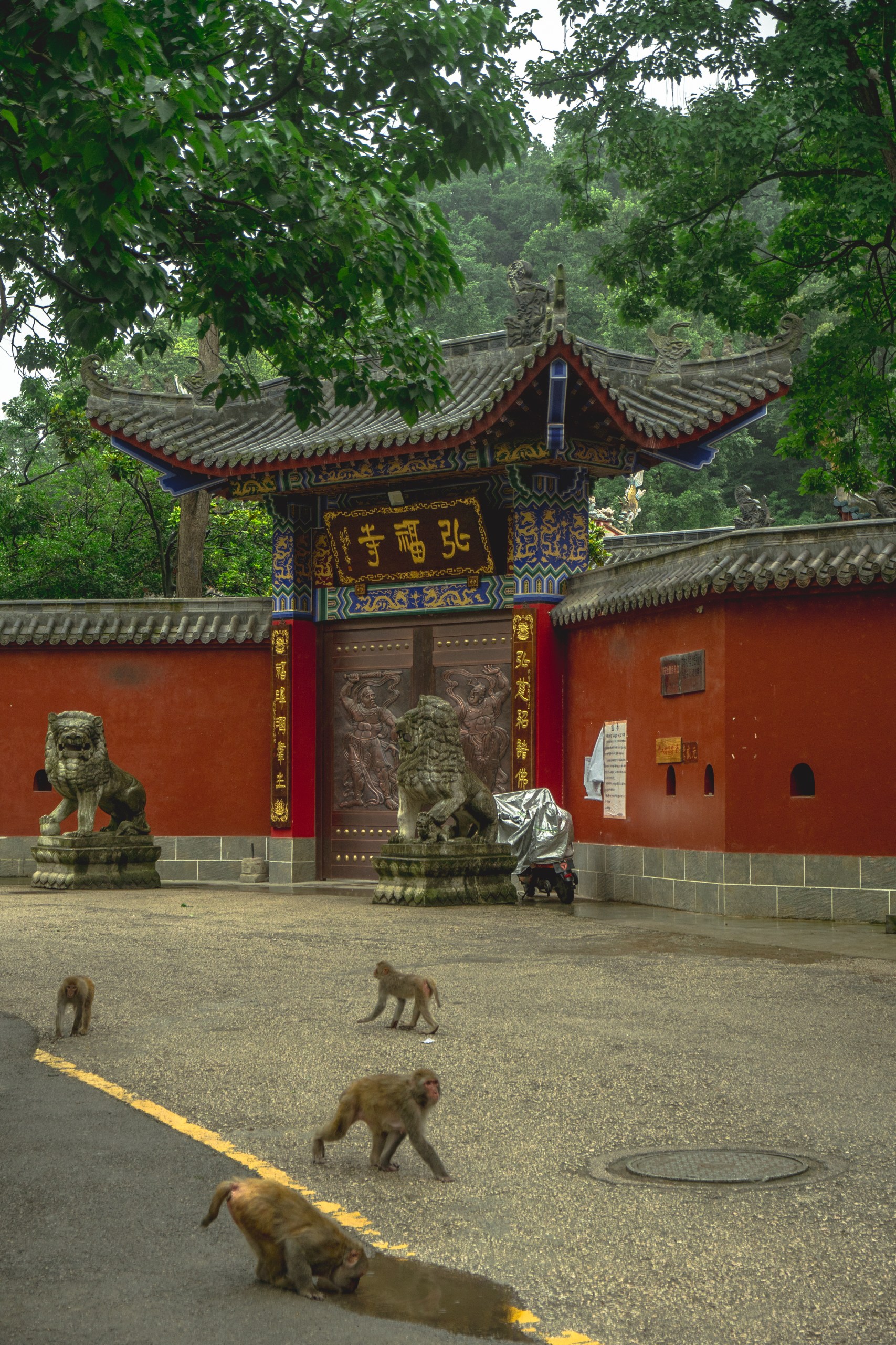 Hongfu Temple — China’s Ultimate Natural Landscapes