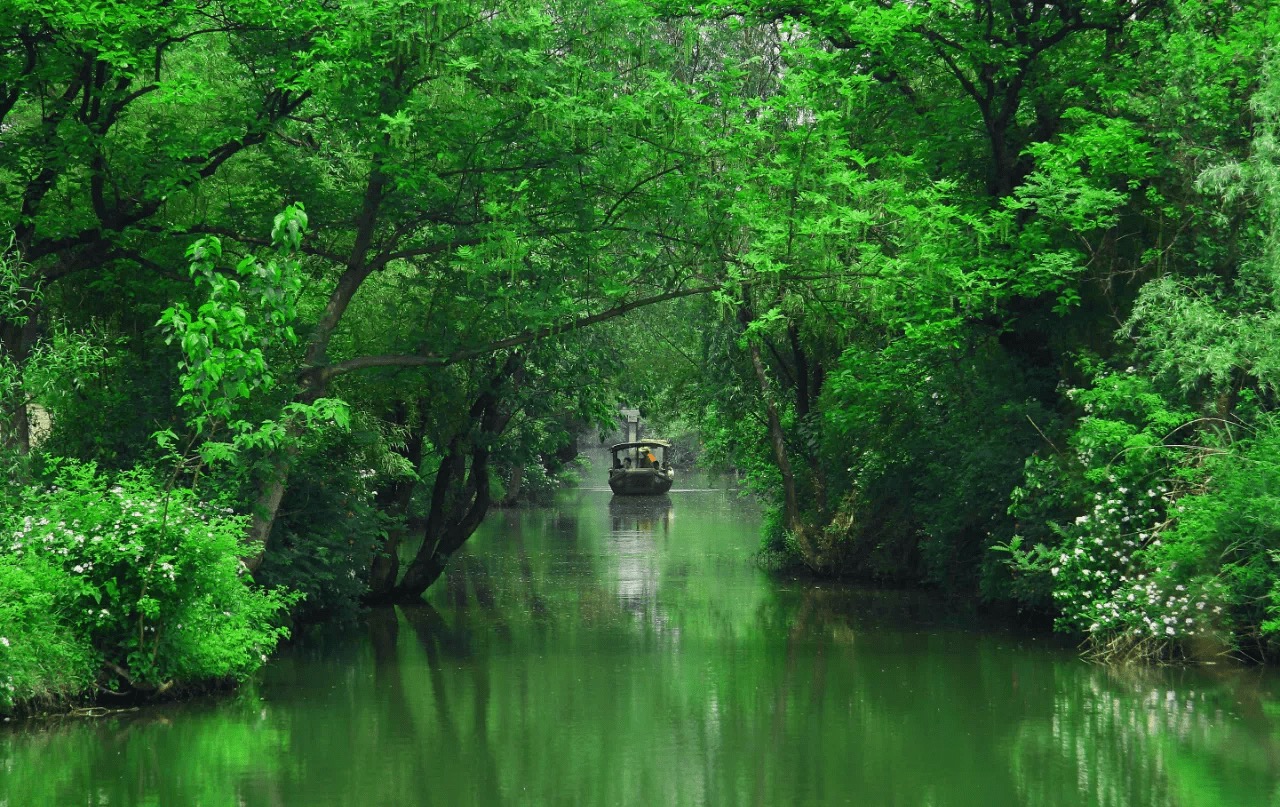 Xixi National Wetland Park — China’s Iconic Cities and the Pulse of Local Life