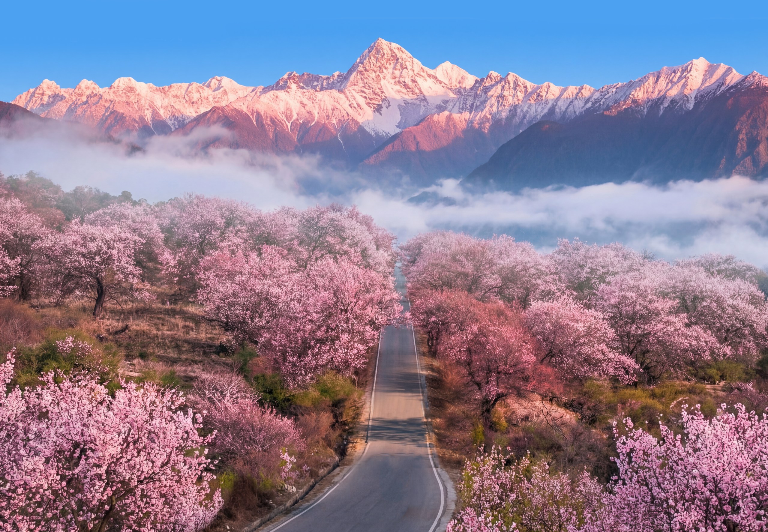 Enjoy Tibet: 8-Day Journey