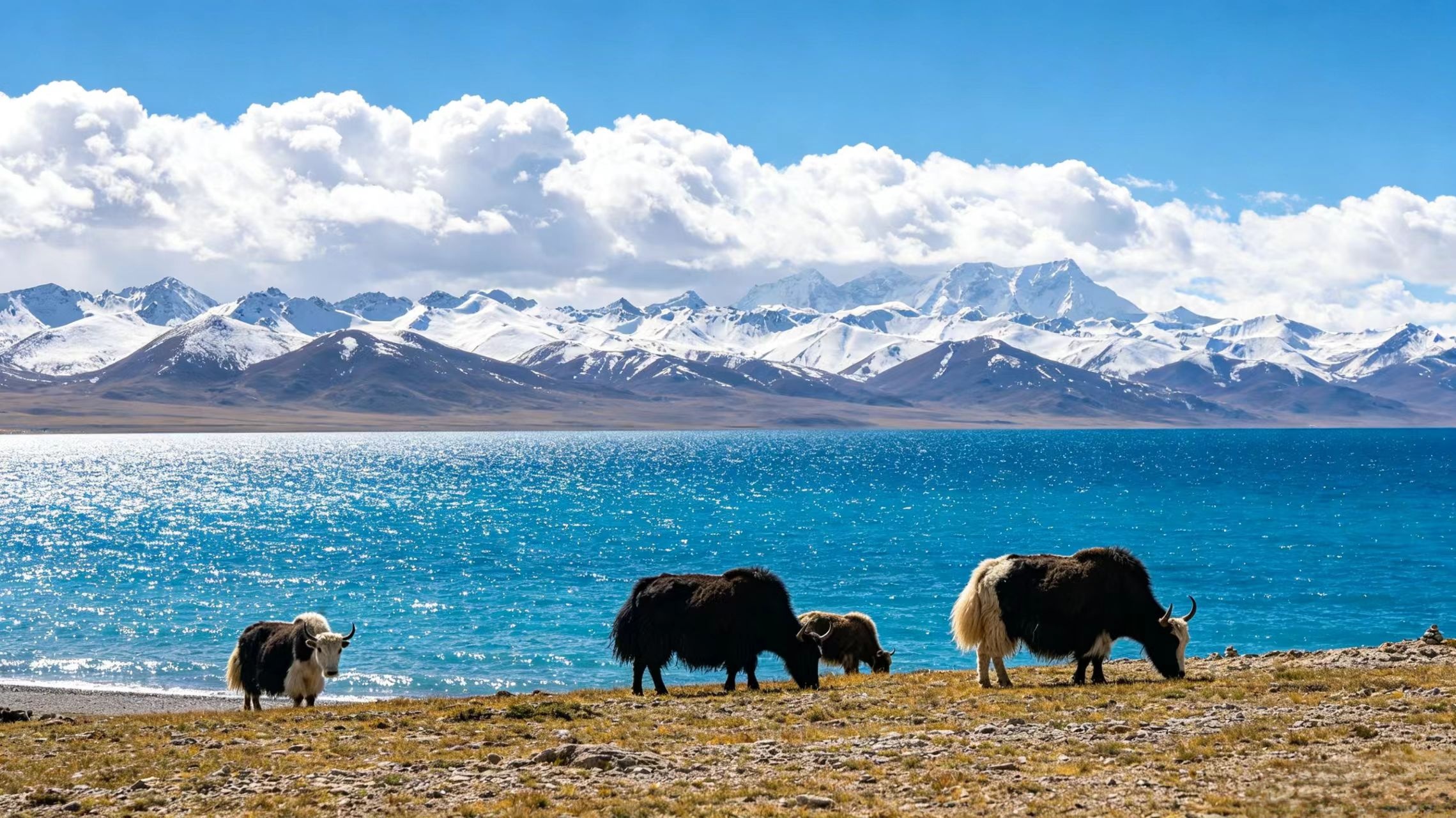 First Encounter Tibet: 7-Day Journey